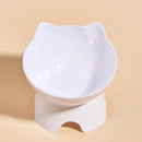 Comedouro e Bebedouro Elevado Ergonômico para Gatos